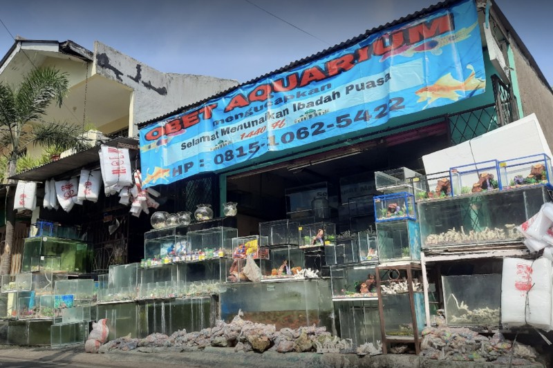 Obet Aquarium