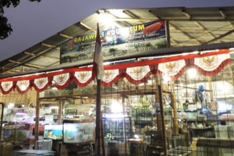 Rajawali Aquarium
