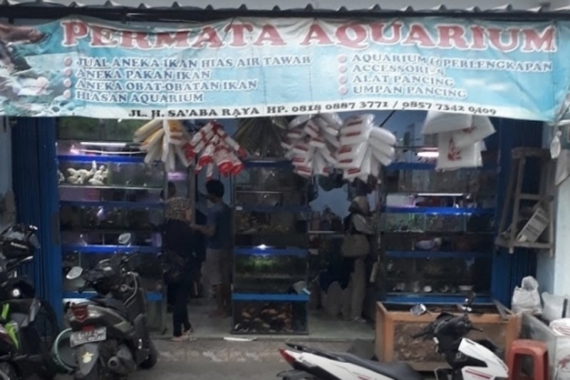 Permata Aquarium 1