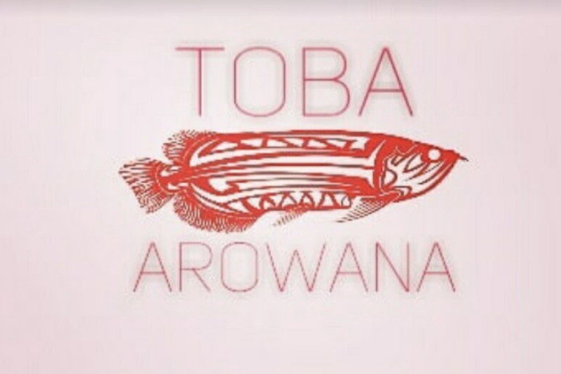 Toba Arowana