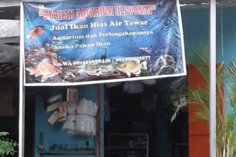 Berkah Aquarium Kliwonan