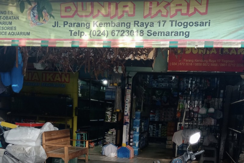 Dunia Ikan