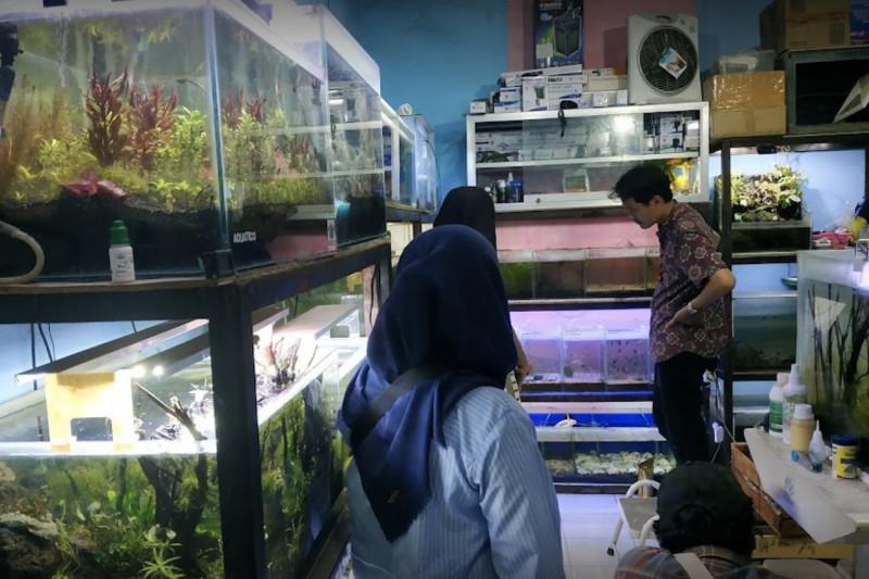 Aquatico Aquascape Semarang