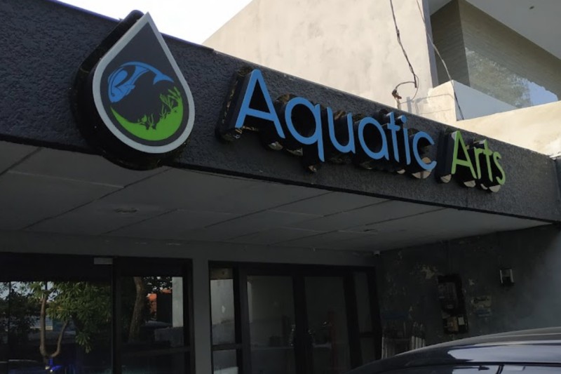 Aquatic Arts