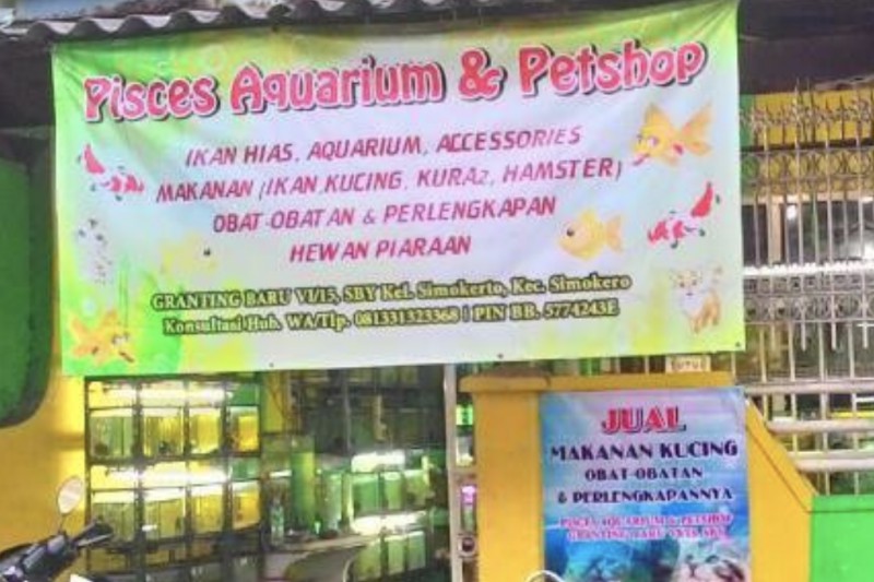 Pisces Aquarium Petshop