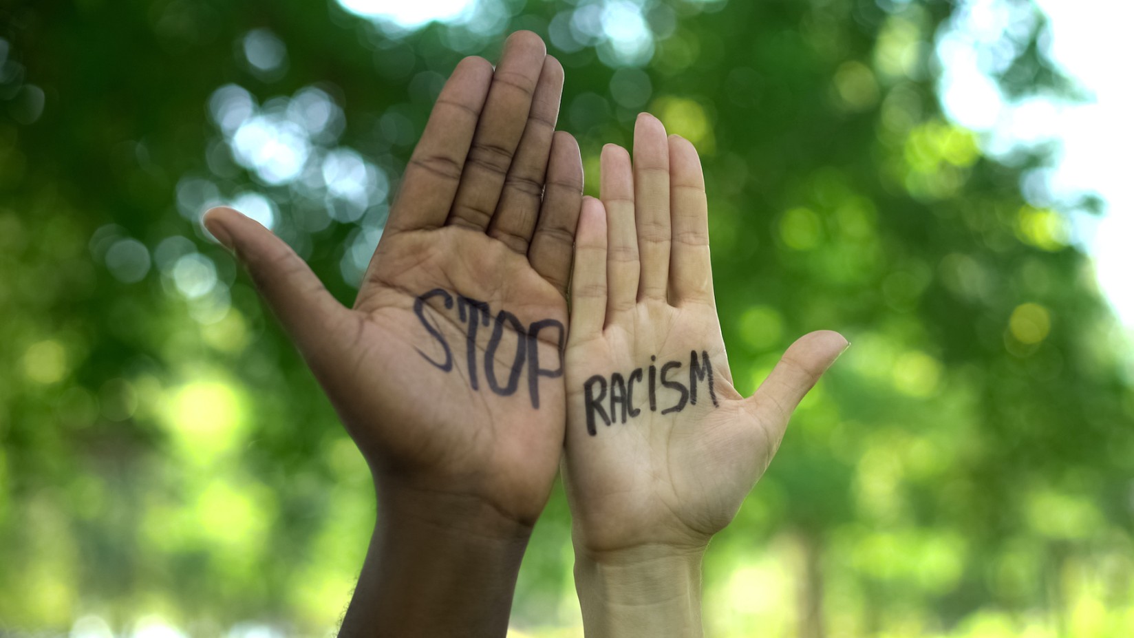 Undervisningsressurser om rasisme – NAFO