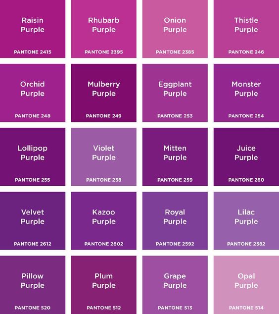 macam macam warna ungu