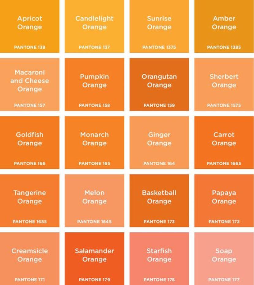 macam-macam warna orange