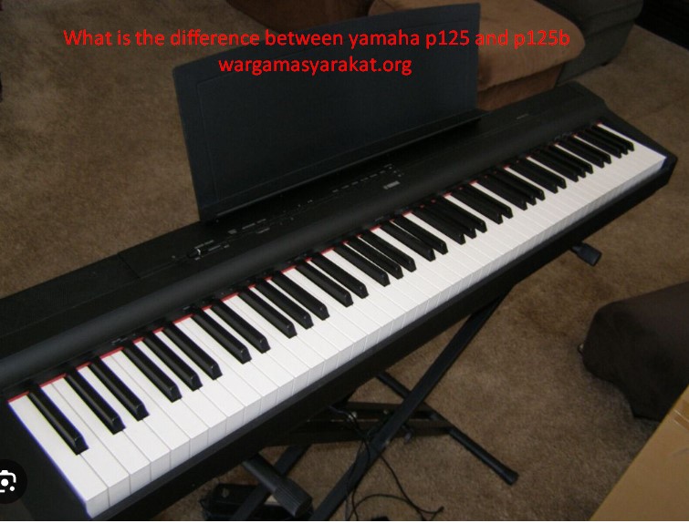 What is the difference between yamaha p125 and p125b