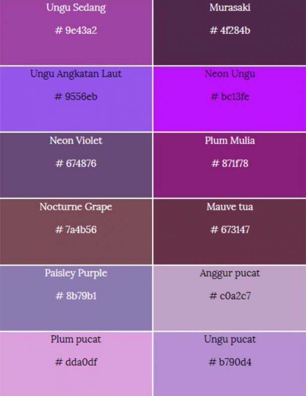 macam-macam warna ungu & kode warna Ungu