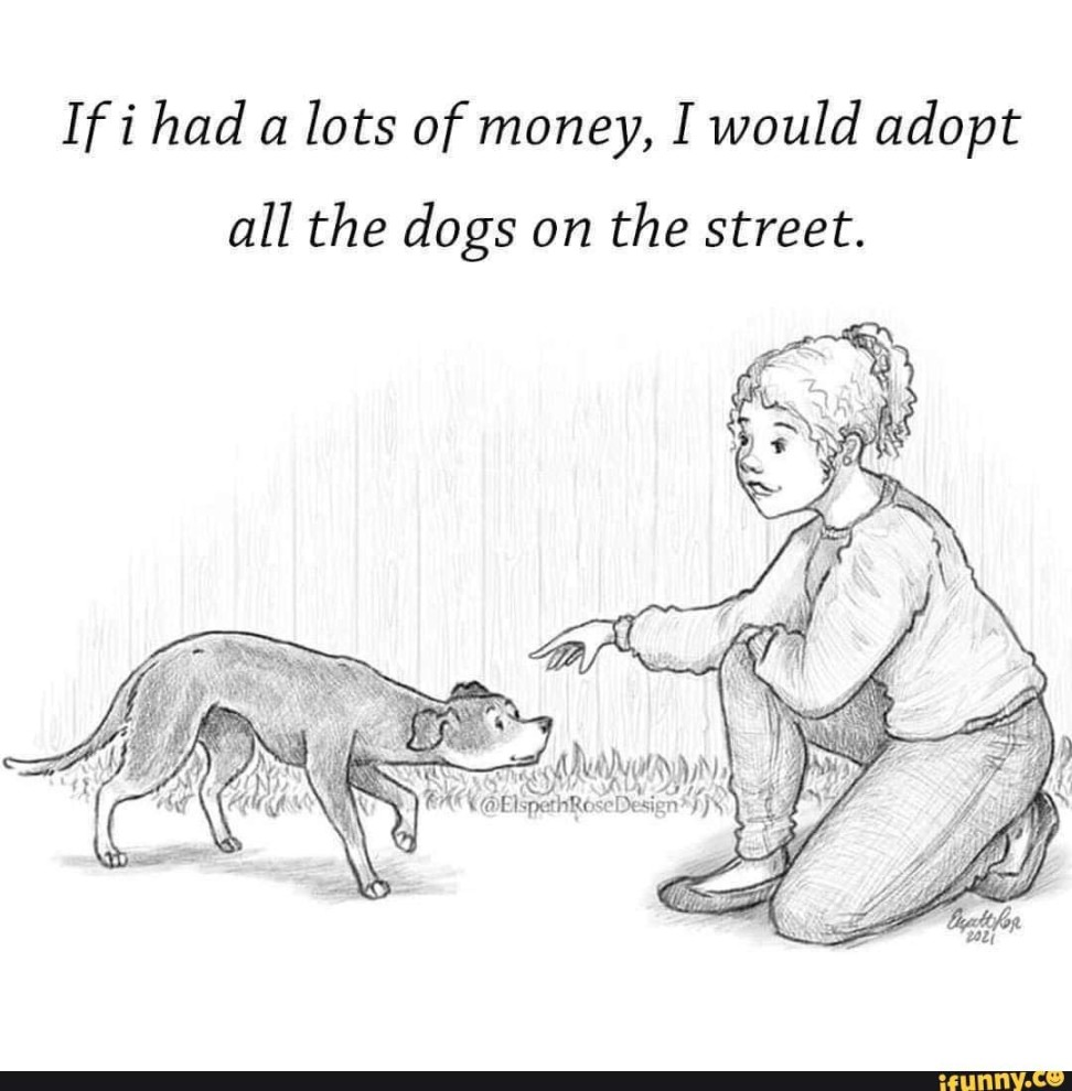 If had lots of money, I would adopt all the dogs on the street