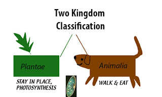  jenis sistem pengelompokkan makhluh hidup Perkembangan Sistem Klasifikasi Makhluk Hidup dr 2-7 Kingdom