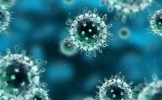 Keberadaan virus pertama kali mulai diteliti oleh Adolf Meyer Virus: Pengertian, Ciri, Klasifikasi, Jenis, Contoh & Cara Hidupnya