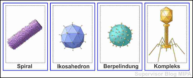  telah dijelaskan bahwa virus merupakan partikel ultra mikroskopis yg hanya bisa diamati Struktur Tubuh Virus: Ukuran, Bentuk, Bagian-Bagian & Fungsinya