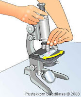  mikroskop menjadi alat yg sangat dibutuhkan Mikroskop: Jenis, Bagian & Fungsi serta Cara Menggunakannya 