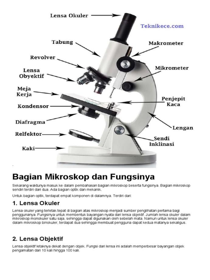 Bagian Mikroskop Dan Fungsinya  PDF