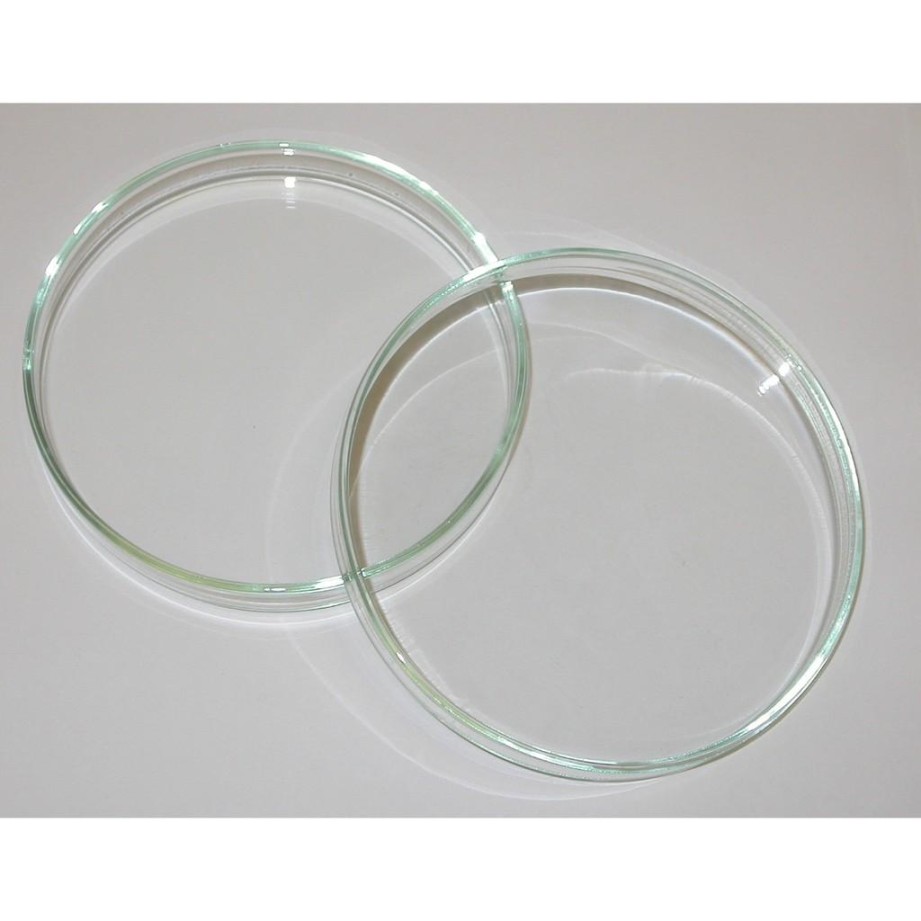 Belanja Cawan Petri (petri Dish) /  X  di Chemedline