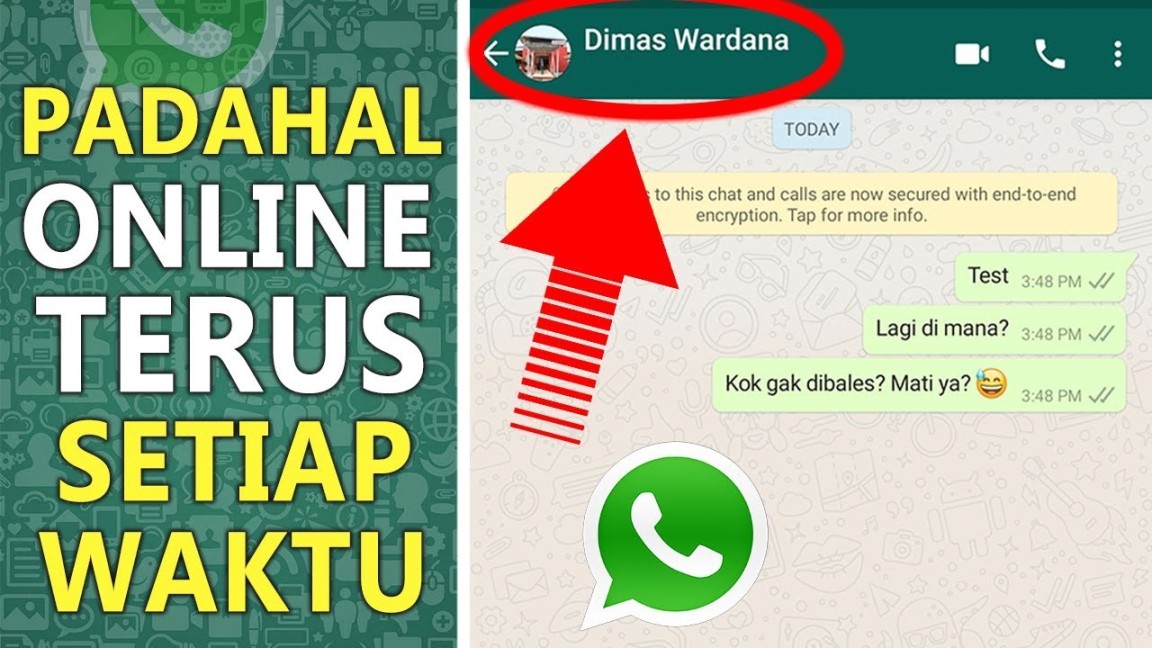 Cara Agar Whatsapp Tidak Terlihat Online  Tidak Terlihat Sedang Mengetik  🔥 DIJAMIN BERHASIL!