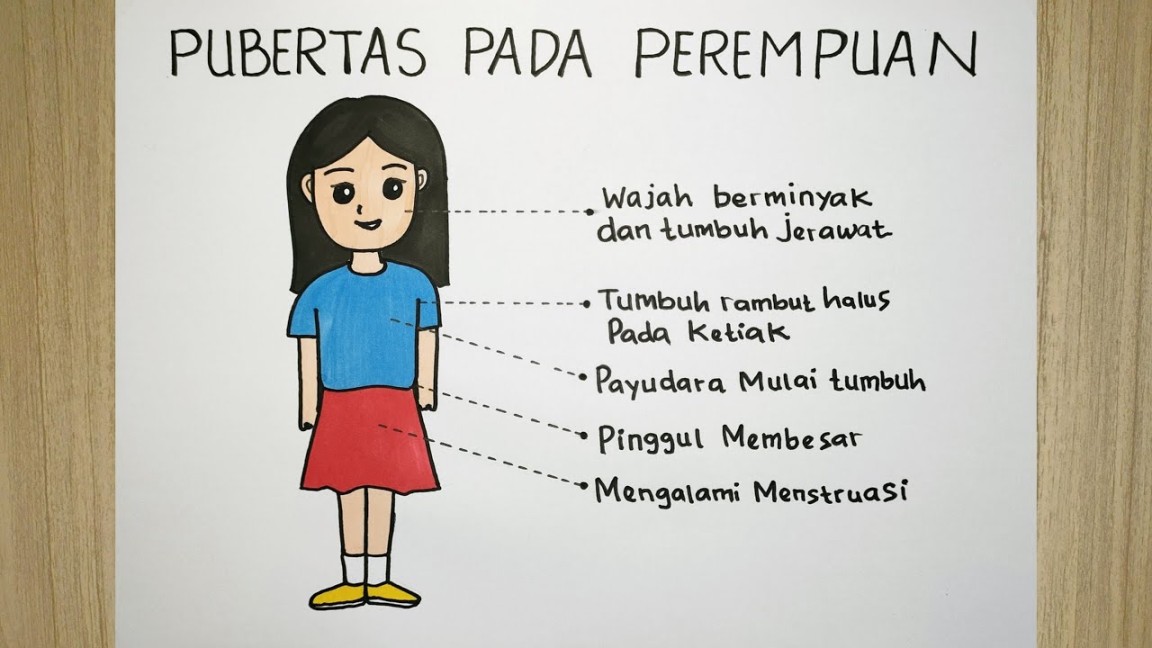 Cara menggambar poster pubertas yang mudah