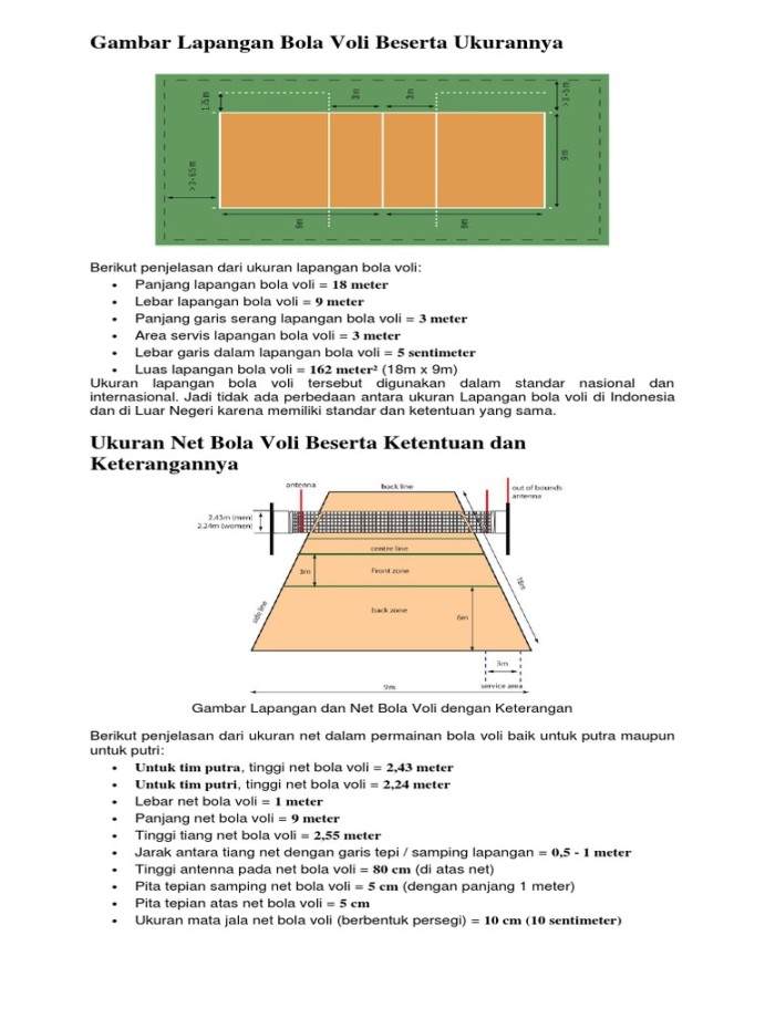 Gambar Lapangan Bola Voli Beserta Ukurannya  PDF