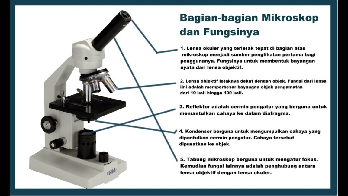 Penjelasan Bagian-bagian, Fungsi Mikroskop dan Contoh Soalnya