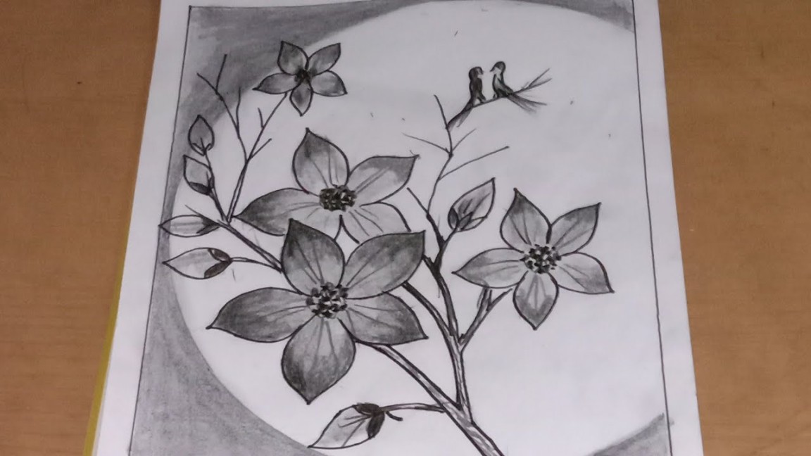 Sketsa Bunga Sakura(RAGAM HIAS FLORA) materi senibudaya