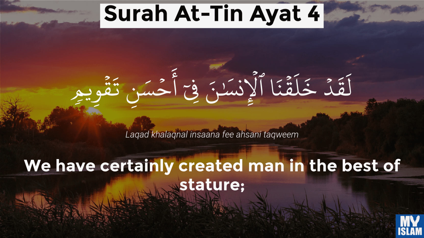 Surah Tin Ayat  (: Quran) With Tafsir - My Islam