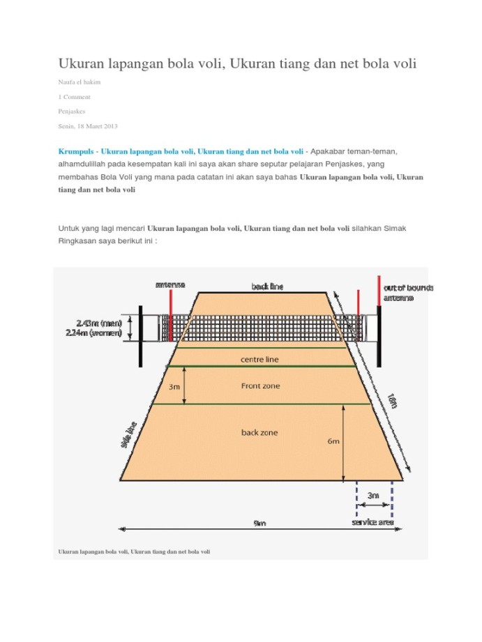 Ukuran Lapangan Bola Voli  PDF