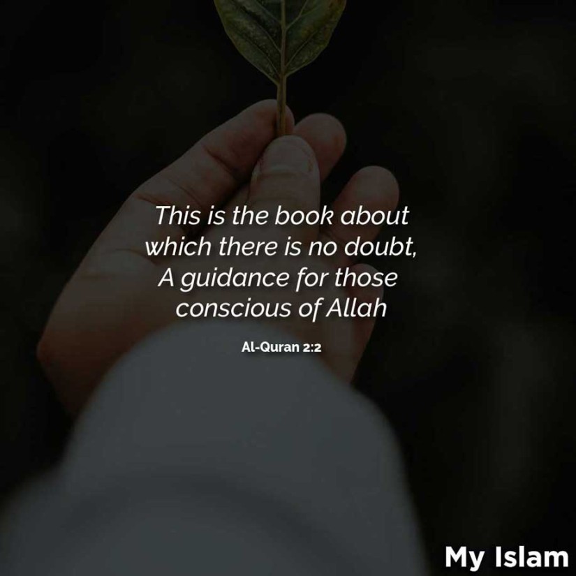 Beautiful Quran Quotes (Best Quranic Quotes)