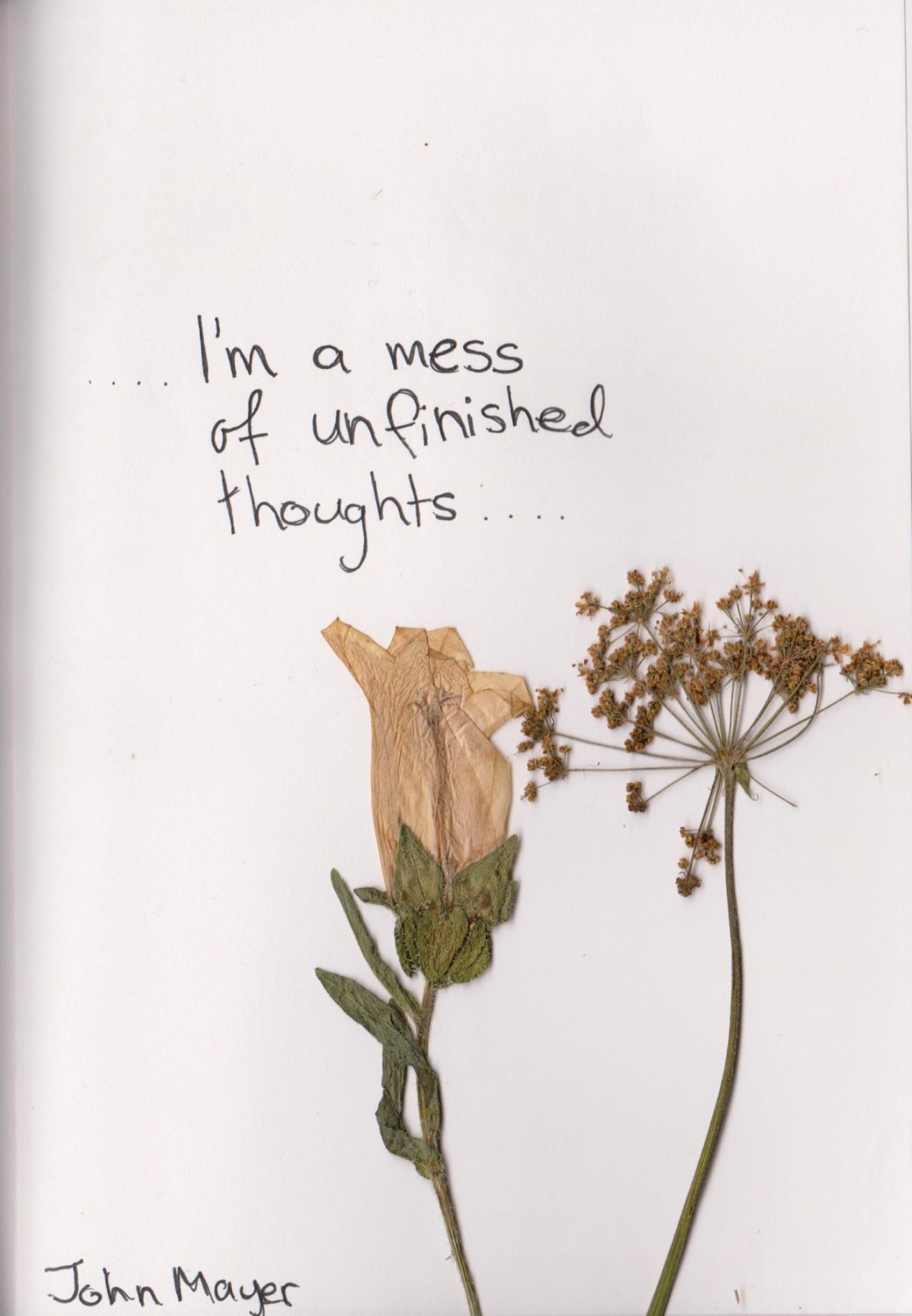 From my rotting body, flowers shall grow —