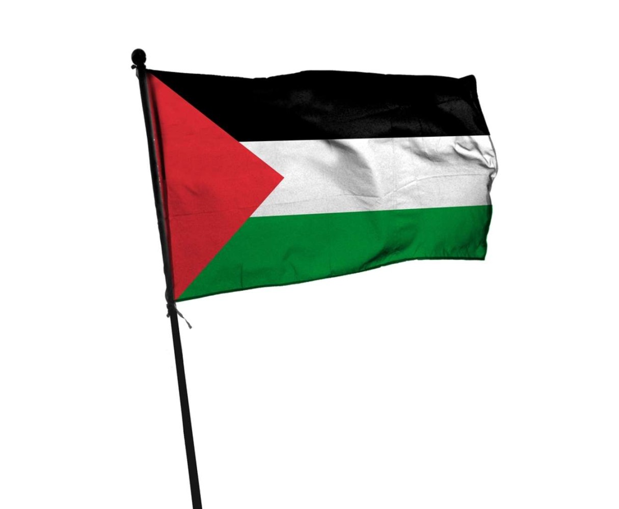 Bendera Palestina: Arti Warna dan Sejarah Singkatnya